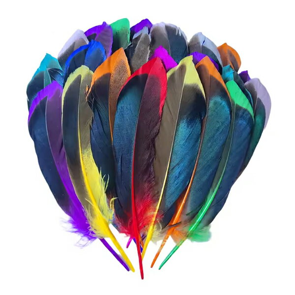 եå󥢥꡼Υ㤨֡ڥ᡼زġۡ1ۤդդŷե  6 祦α 10cm?15cm Ļ С     ǥѡ ŷǺ ʥ ͥå쥹 ԥ  İ ˥å ꡼ѡ ϥɥᥤ פβǤʤ40ߤˤʤޤ