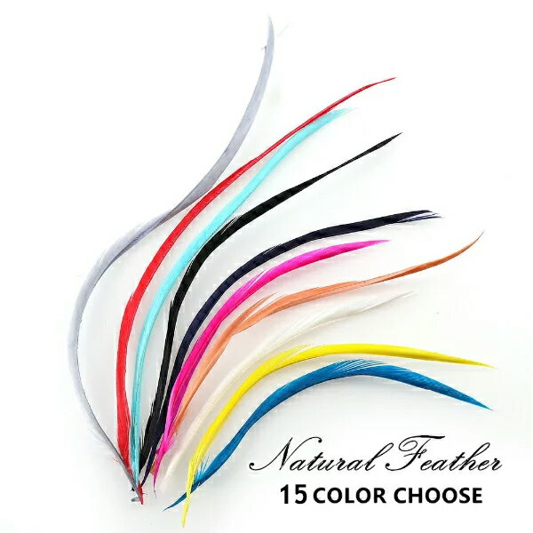 եå󥢥꡼Υ㤨֡ڥ᡼زġۡ1ۤդդŷե ¦ 12 Ļ С     ǥѡ ŷǺ ʥ ͥå쥹 ԥ  İ ˥å ꡼ѡ ϥɥᥤ פβǤʤ40ߤˤʤޤ