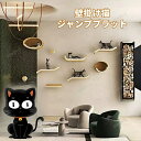 キャットウォーク 有孔ボード 壁掛け式猫用ステップ 壁面 棚 DIY 壁 天然木 壁掛け猫クライマーセット 猫用 キャットタワー 猫家具 キャットステップ 猫棚 猫ハウス 木製 多孔ボード 爪とぎポール キャットウォーク 壁付け 遊び場 ストレス解消 取り付け簡単 便利