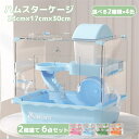 ハムスター ケージ 2階 建て セット ハムスターハウス 組立式 食器 回し車 給水器 ハムスター 家 飼育ケース 透明 ケージ 通気性抜群 プラケース ハウス...