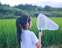 虫取り網 魚取り 捕虫網 虫捕り網 折りたたみ 3段伸縮 昆虫採集 昆虫ネット 川遊び 人体工学設計 水陸両用 175cm