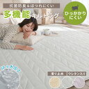 \12/26まで5%OFF/ラグ 厚手 80mm おしゃれ はっ水 抗菌防臭 リビング 北欧 オールシーズン ペット 滑り止め ラグマット カーペット コンパク...