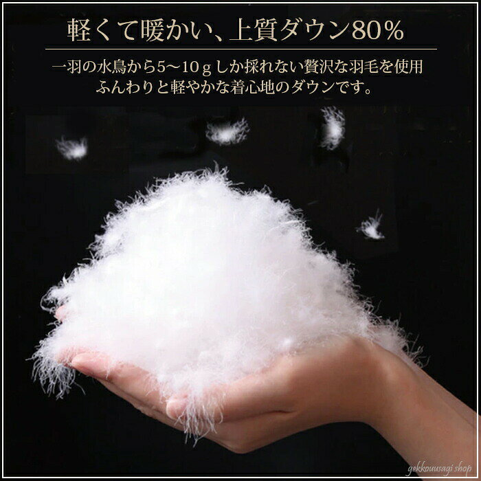 ダウン80% 羽毛 コート ダウン コート 軽量 あたたかい M/L ダウンコート ショールカラー リブ襟 大きめ 大人 軽量コート 暖かい おしゃれ ダウン コート カジュアル レディース ママ ミセス 母 祖母 シニア 通勤 通学 送迎 モカ 茶 ブラウン ダウン80% 安い (au2f7)17189 noanoa7-10001451 noa noa ノアノア サンプル画像3
