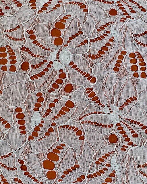 �礭�ʲ����������륳���ɥ졼�������NB2491TR��������ʡ�温����