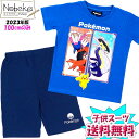 【送料無料】 ポケモンSV 子供半袖パジャマ 【ブルー:100cmのみ】 2023年版 / ジュニアパジャマ キッズパジャマ ポケットモンスター ポケモン スカ...