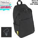 【送料無料】 ポケモン デイパック(46.5cmリュック) 【クロ/ピカチュウ】2024-25年版 APKB-5900 / リュック リュックサック デイバッグ...