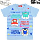 でんたま 半袖Tシャツ 【ブルー】 2024年夏柄 / デンタマ Tシャツ シャツ 半袖シャツ 半T 半袖 でんたま半T でんたまシャツ