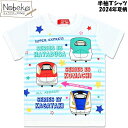 でんたま 半袖Tシャツ 【ホワイト】 2024年夏柄 / デンタマ Tシャツ シャツ 半袖シャツ 半T 半袖 でんたま半T でんたまシャツ