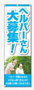 のぼり旗 ヘルパーさん 大募集 (W600×H1800)