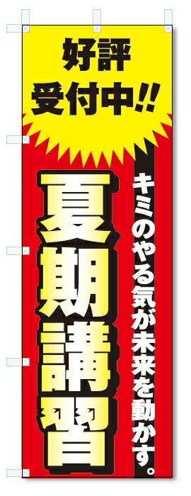 楽天のぼり君のぼり旗　夏期講習 （W600×H1800）学習塾