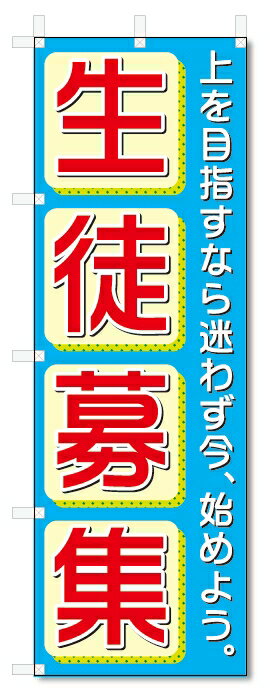 楽天のぼり君のぼり旗　生徒募集 （W600×H1800）学習塾