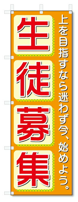 楽天のぼり君のぼり旗　生徒募集 （W600×H1800）学習塾