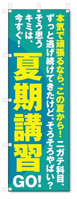 楽天のぼり君のぼり旗　夏期講習 （W600×H1800）学習塾