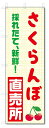 のぼり旗 さくらんぼ 直売所 (W600×H1800)