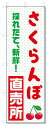 のぼり旗 さくらんぼ 直売所 (W600×H1800)