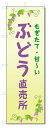 のぼり旗 ぶどう直売所 (W600×H1800)
