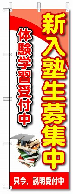 楽天のぼり君のぼり　のぼり旗　新入塾生募集中　（W600×H1800）　学習塾