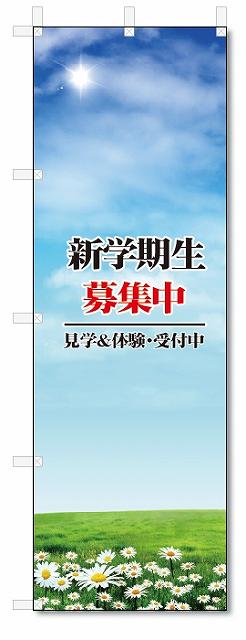 楽天のぼり君のぼり　のぼり旗　新学期生　募集中（W600×H1800）　学習塾