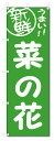 のぼり のぼり旗 菜の花 (W600×H1800) 野菜