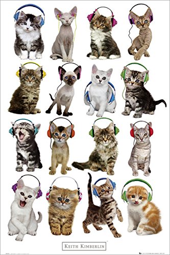 ポスター 610X915mm Keith Kimberlin Kittens Headphones 2177 猫 ヘッドフォン