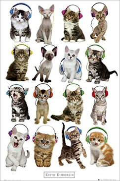 ポスター　610X915mm　Keith Kimberlin Kittens Headphones 2177　猫　ヘッドフォン