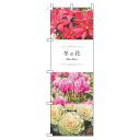 【 クーポン対象 送料無料 】 のぼり旗 冬の花 写真 旬 春 夏 秋 冬 季節 花 華 オシャレ 目立つ 集客 派手 丈夫 高品質 訴求 のぼり