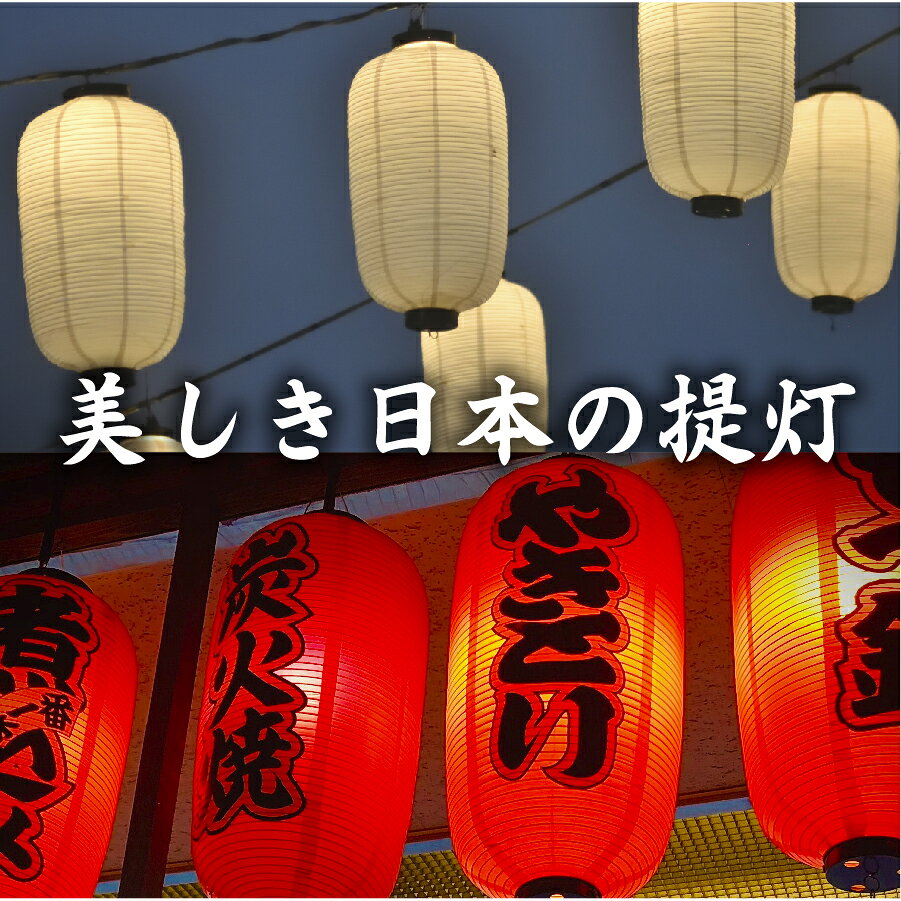 ビニール提灯 長型9号【提灯 オリジナル】赤ちょうちんセット売り 10個セット お得...