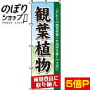 【全国一律送料341円】 のぼり旗 観葉植物 0240110IN