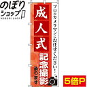 【全国一律送料341円】 のぼり旗 成人式記念撮影 0420006IN
