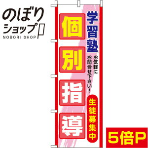 【全国一律送料341円】 のぼり旗 個別指導 赤 0270095IN