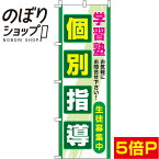 【全国一律送料341円】 のぼり旗 個別指導 緑 0270096IN