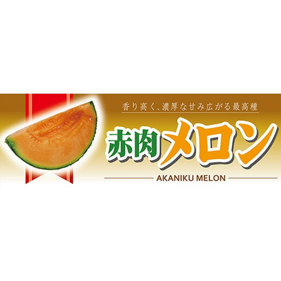 パネル 赤肉メロン No.6