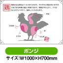 ドロップ幕 鶏 部位イラスト (W1000×H700mm ポンジ) No.68748(受注生産品・キャンセル不可)