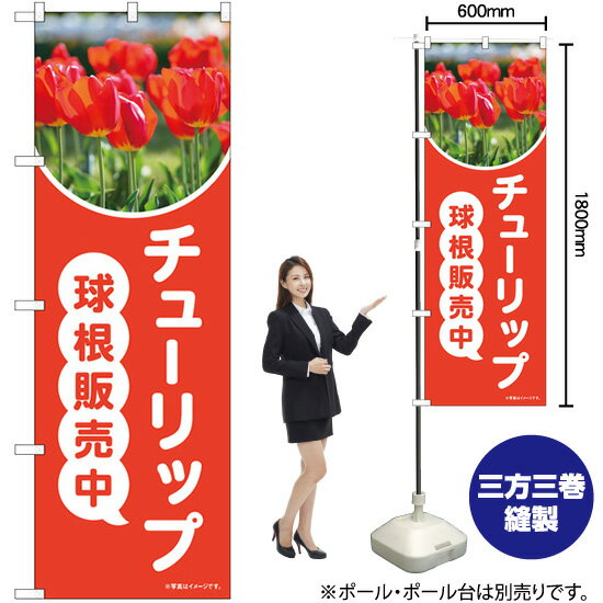 【3枚まで送料297円】チューリップ球根販売中 （赤） 写真 のぼり No.84232 花 園芸（受注生産品 キャンセル不可）