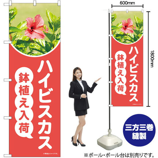 【3枚まで送料297円】ハイビスカス鉢植え入荷 （ピンク） 写真 のぼり No.84237 花 園芸（受注生産品 キャンセル不可）