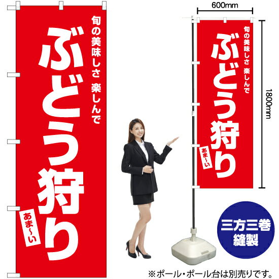 ぶどう狩り のぼり AKB-481（受注生産品・キャンセル不可）