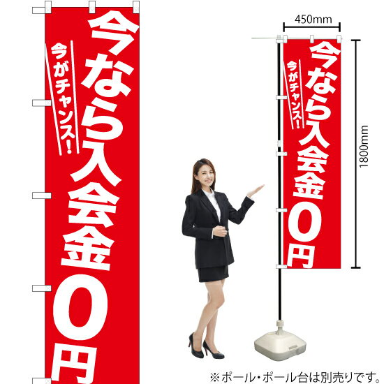 【3枚まで送料297円】今なら入会金0円 スマートのぼり AKBS-1209（受注生産品・キャンセル不可）