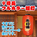 フルカラービニール提灯 赤提灯 たい焼き 太字 お祭り 縁日 屋台 たいやき FC-0040（受注生産品・キャンセル不可）