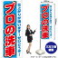 【3枚まで送料297円】 プロの洗車 のぼり GNB-1549 （受注生産品・キャンセル不可）