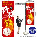 【3枚まで送料297円 】野球部員募集 (赤) のぼり GNB-3366(受注生産品・キャンセル不可)(3)