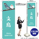 のぼり 文鳥 GNB-3374 (受注生産品・キャンセル不可)