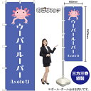 のぼり ウーパールーパー GNB-3375 (受注生産品・キャンセル不可)