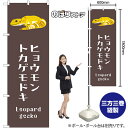 のぼり ヒョウモントカゲモドキ GNB-3378 (受注生産品・キャンセル不可)