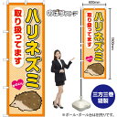 のぼり ハリネズミ 取り扱ってます GNB-3381 (受注生産品・キャンセル不可)