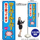 のぼり ウーパールーパー 取り扱ってます GNB-3387 (受注生産品・キャンセル不可)(3)