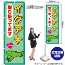 のぼり イグアナ 取り扱ってます GNB-3388 (受注生産品・キャンセル不可)