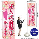 成人式前撮り 人イラスト のぼり GNB-4061 (受注生産品・キャンセル不可)