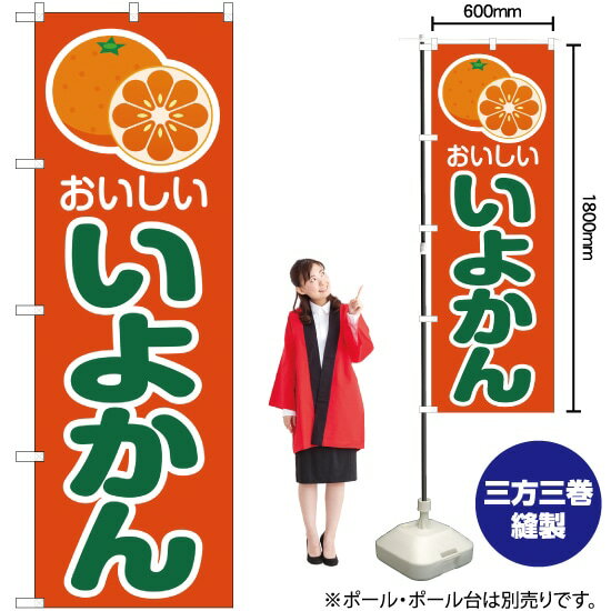 【3枚まで送料297円】おいしい いよかん （橙） のぼり JA-194（受注生産品・キャンセル不可）