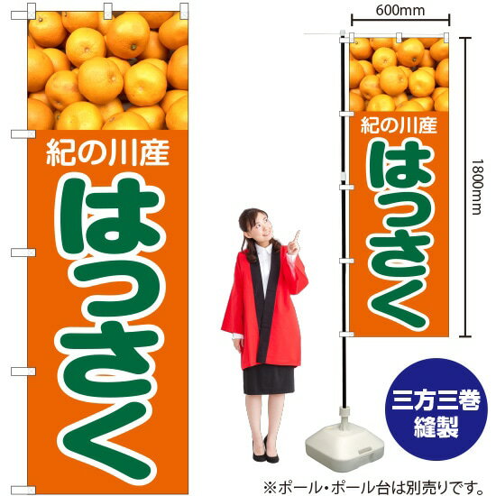 紀の川 はっさく 産地直送　２３キロ　合計３０キロ 紀の川 はっさく 産地直送 23キロ 合計30キロ 本物保証，HOT