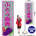 ぶどう直売(紫ぶどう) のぼり JA-664(受注生産品・キャンセル不可)(3)